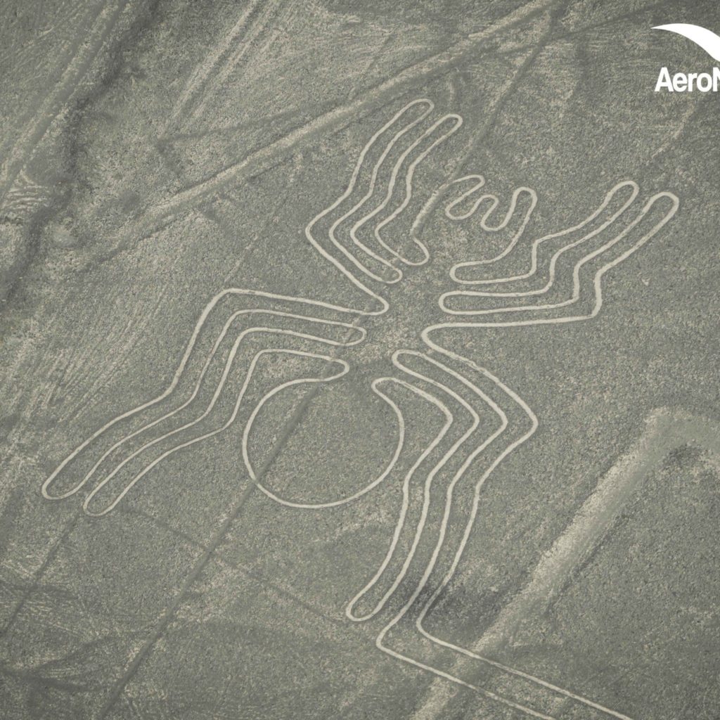 Impresionantes Fotos de las Lineas de Nazca