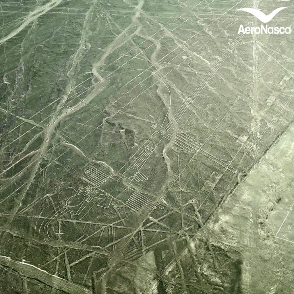 Impresionantes Fotos de las Lineas de Nazca