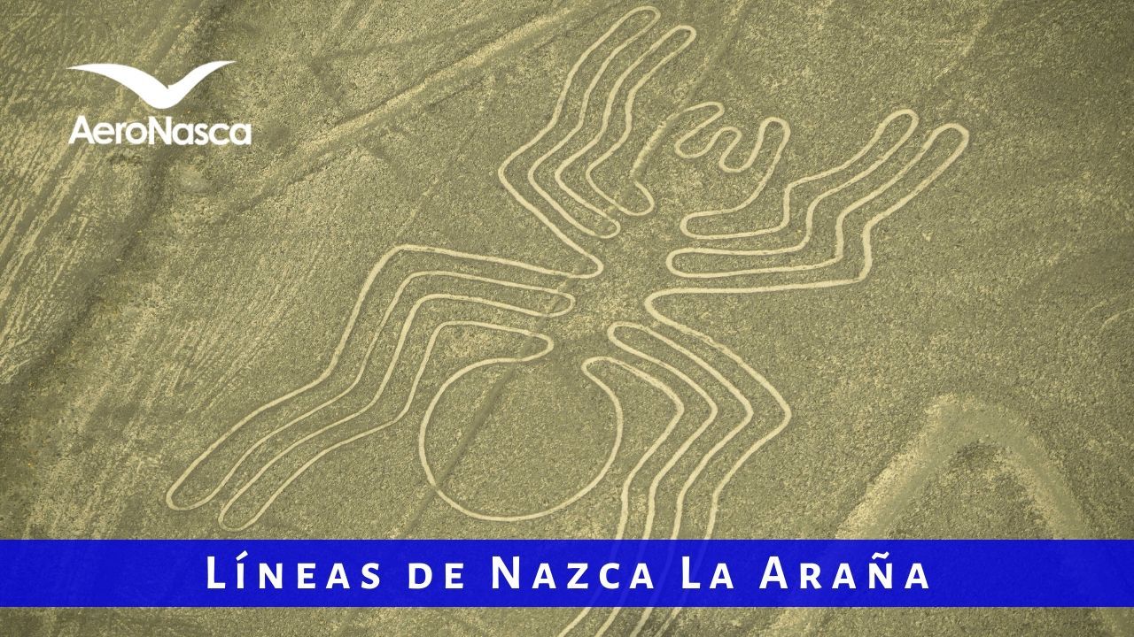 Lineas De Nazca La Araña