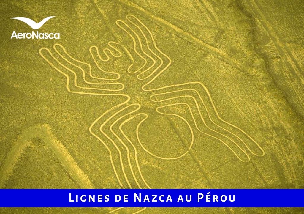 Lignes De Nazca Pérou