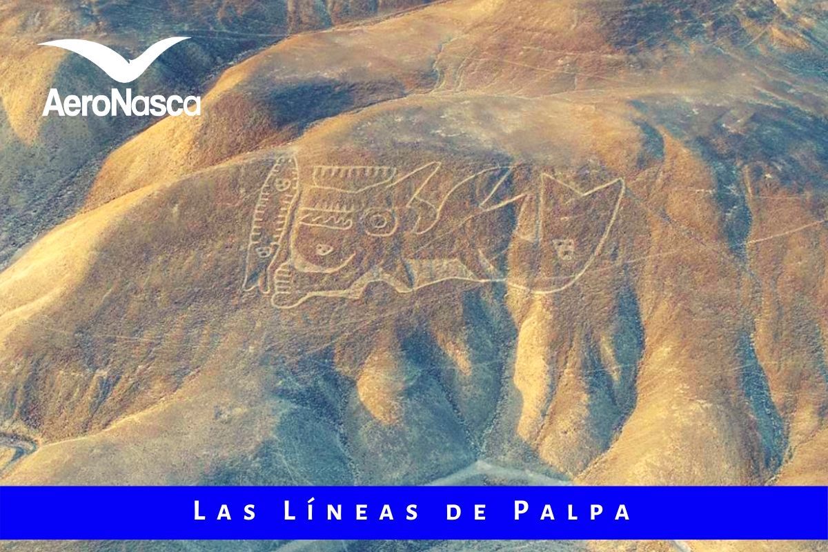 Palpa Lines Peru 🥇