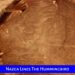 Nazca Lines The Hummingbird