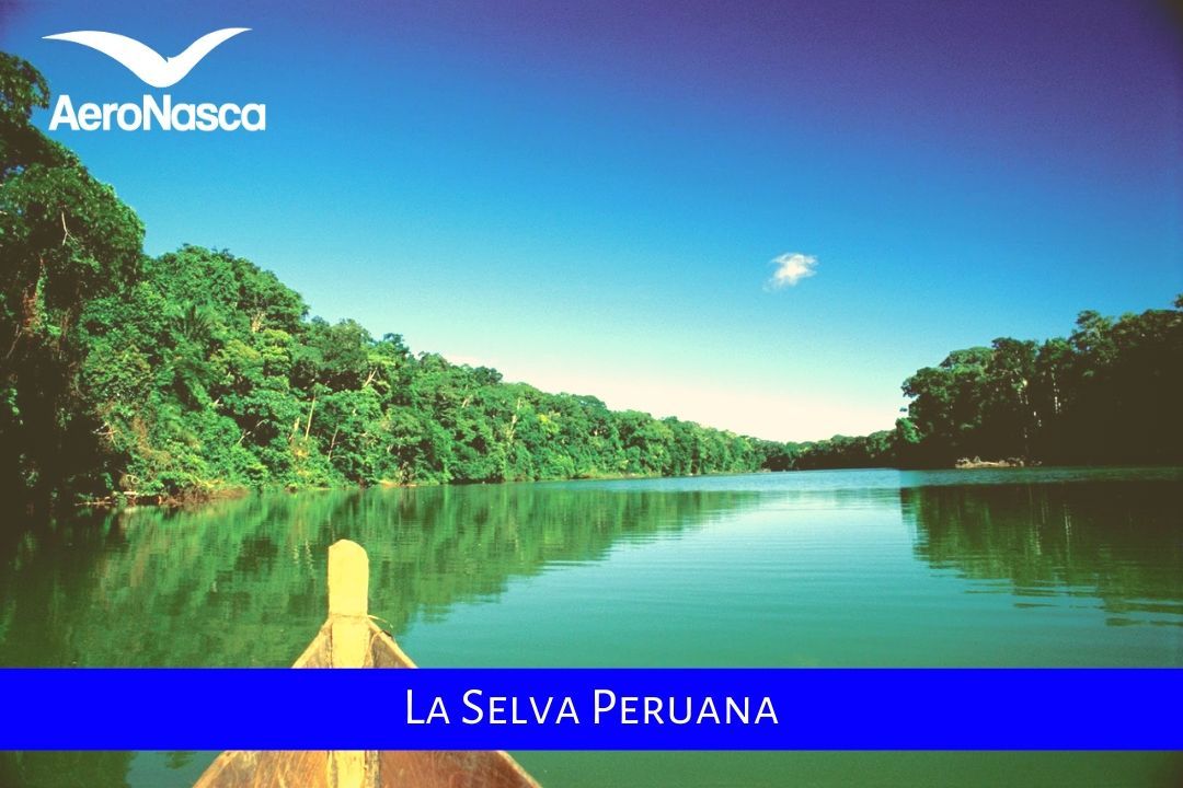 La Selva Peruana