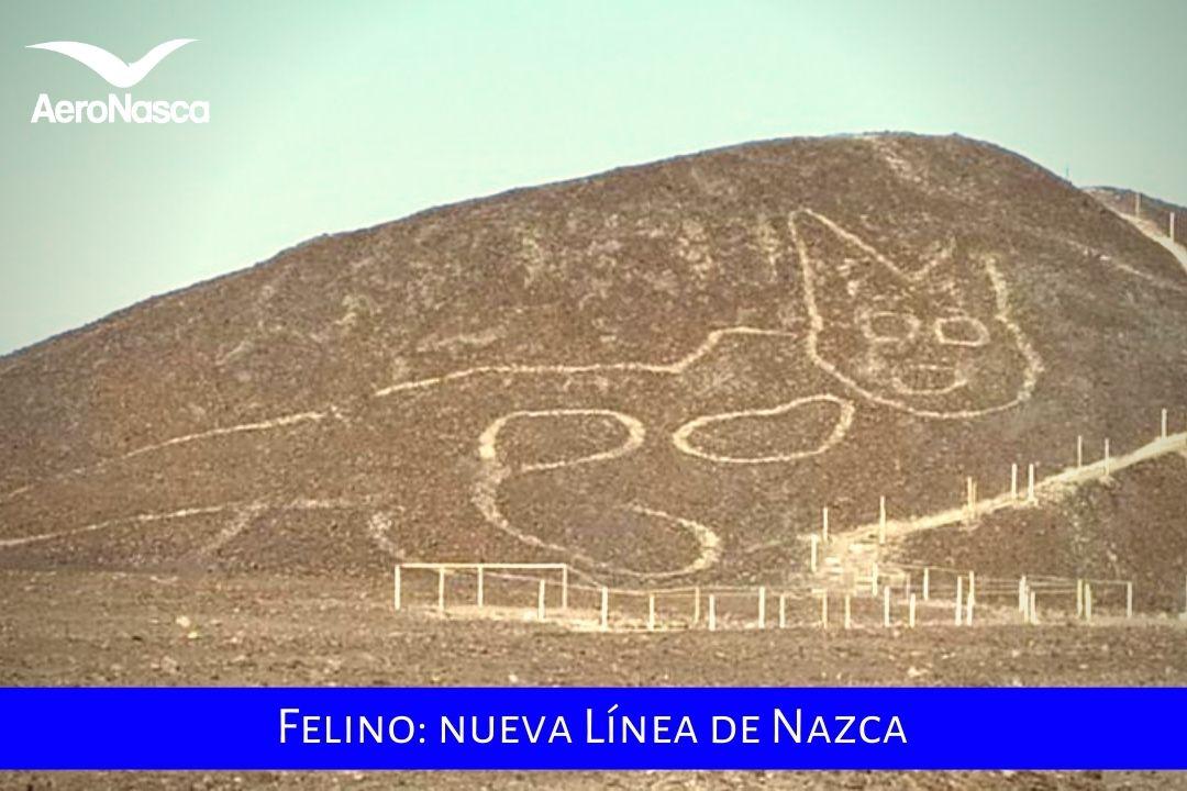 Felino Nueva Línea De Nazca