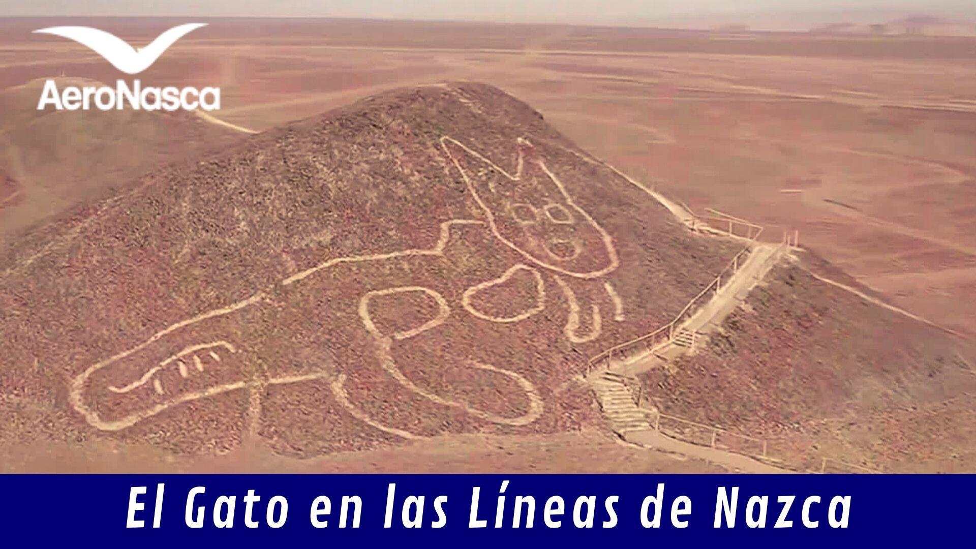 El Gato En Las LÃ­neas De Nazca