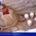 Paracas sus cavernas y necropolis